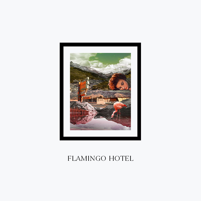flamingo hotel.png